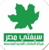 شعار الشركة 2